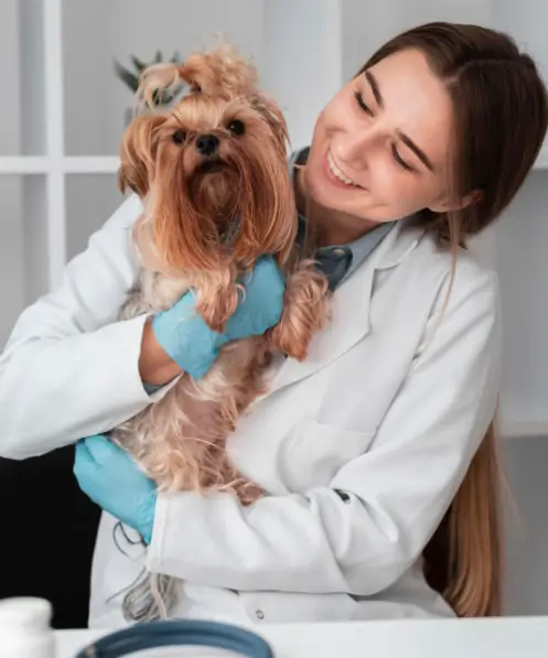 Medicina Veterinária